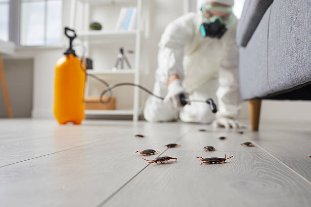 Commercial Rodent Management in Rayne